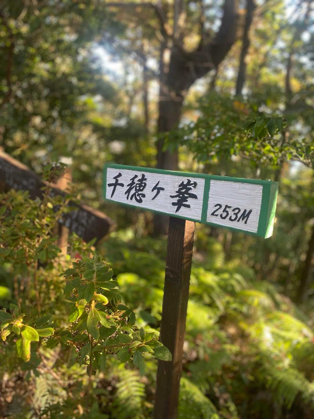 到着いたしました、千穂が峰⛰️
