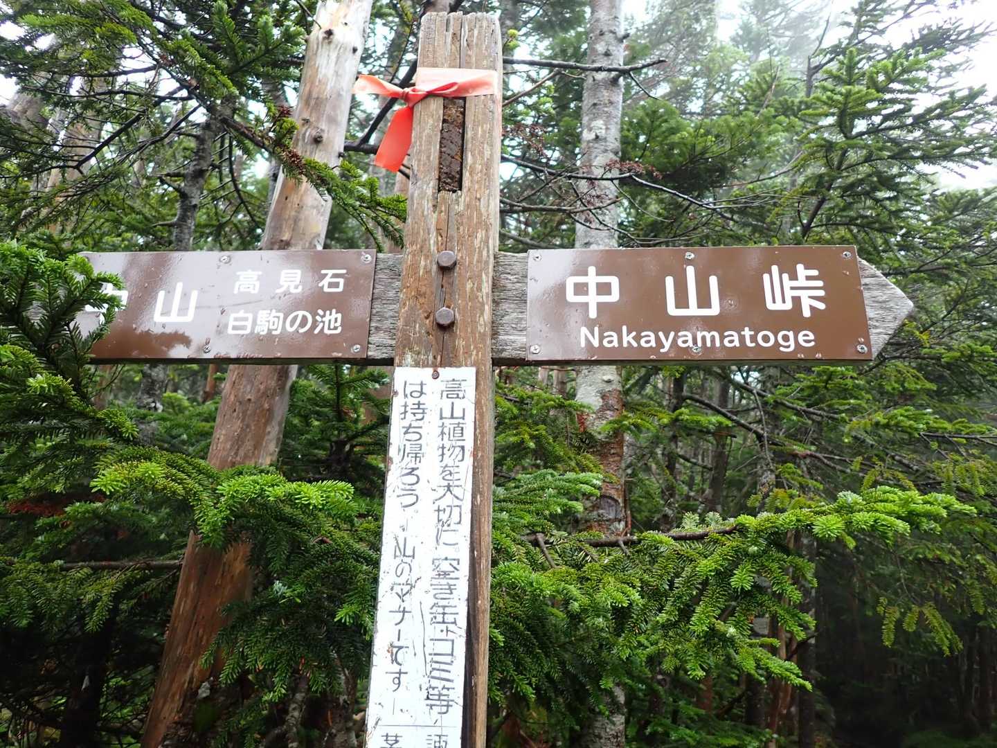 中山を目指します←