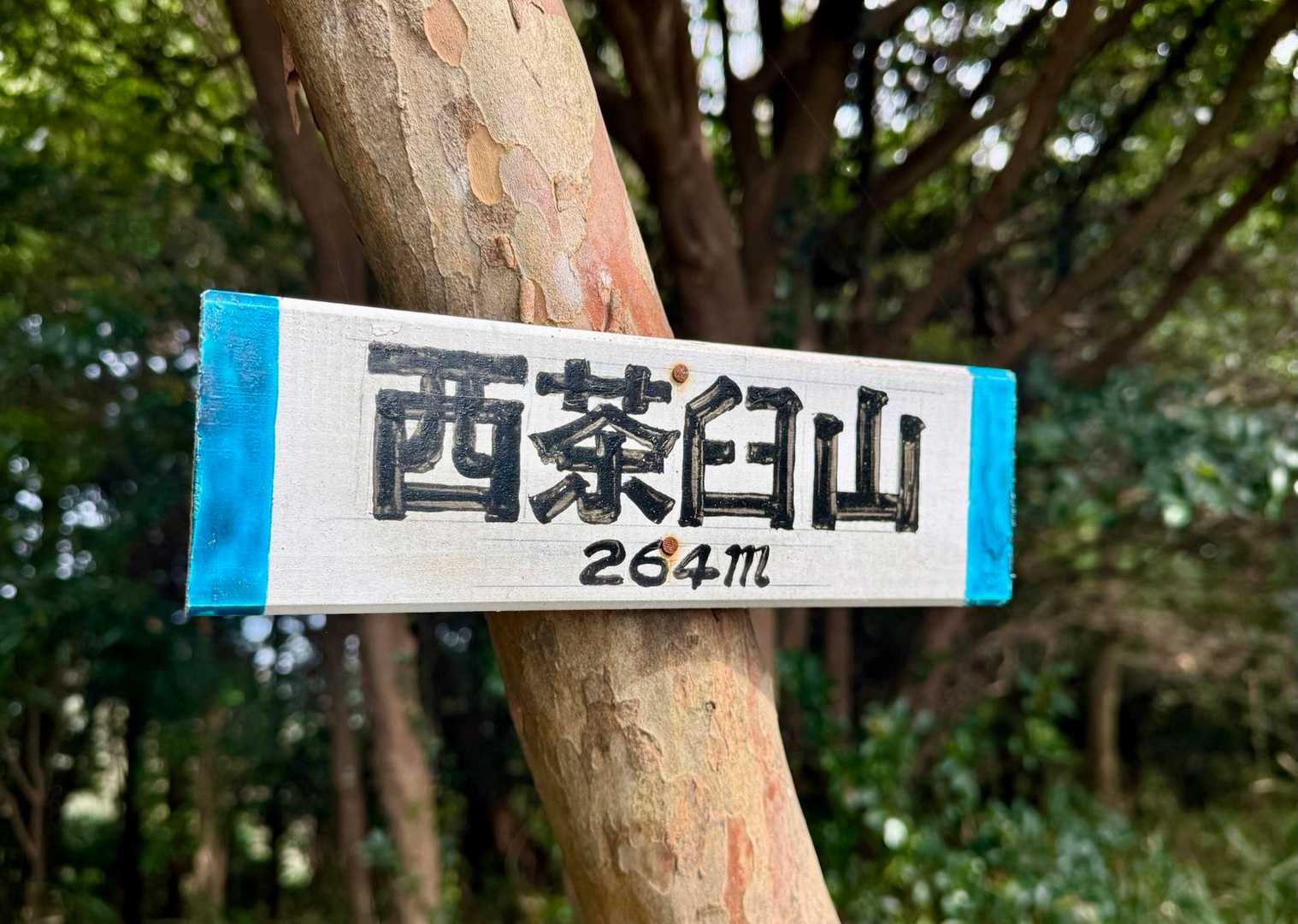 通過しま〜す🎶