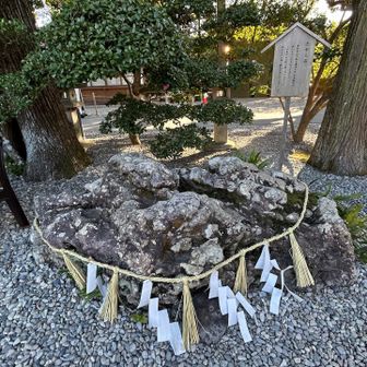 「たから石」

何処かに国歌にも出てくる「さざれ石」があったみたいだけど気付かず🥲
