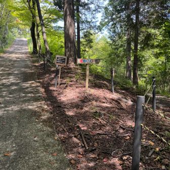 花めぐりロードを通って、
お須原山へ登り返しましたー🤣