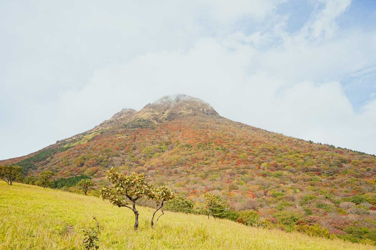由布登山口バス停-正面登山口-飯盛ヶ城 往復コースの写真