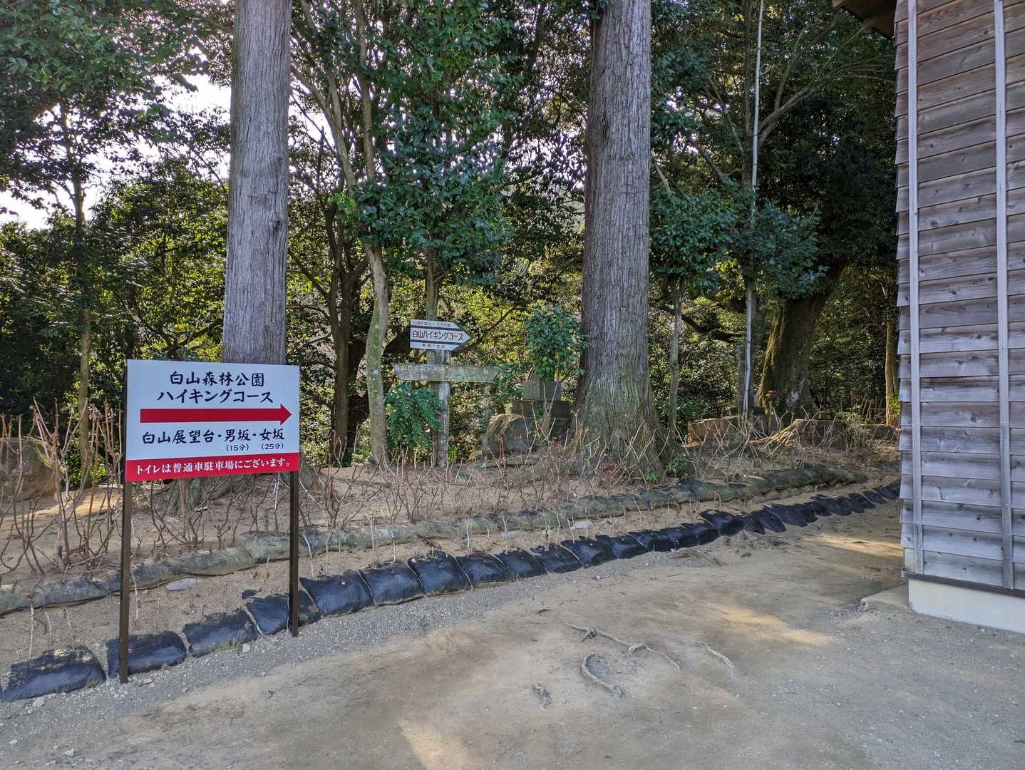 ここに出ました。
