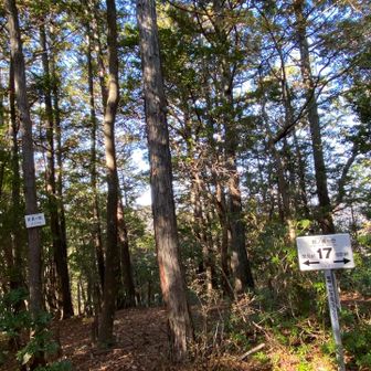 箕ノ浦ヶ岳登頂🙌