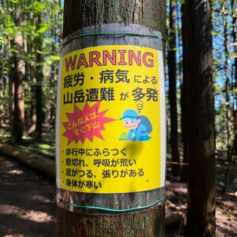 すみません  もう無理はしません