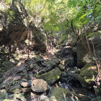 しばらく
見てましたが…
上の岩石は花崗岩だから
白っぽいはずなのに
苔などで
変色してるのか
よくわからんね

帰りにもう一度
寄ります