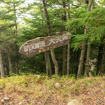小天狗
昭和のクラシックルート感