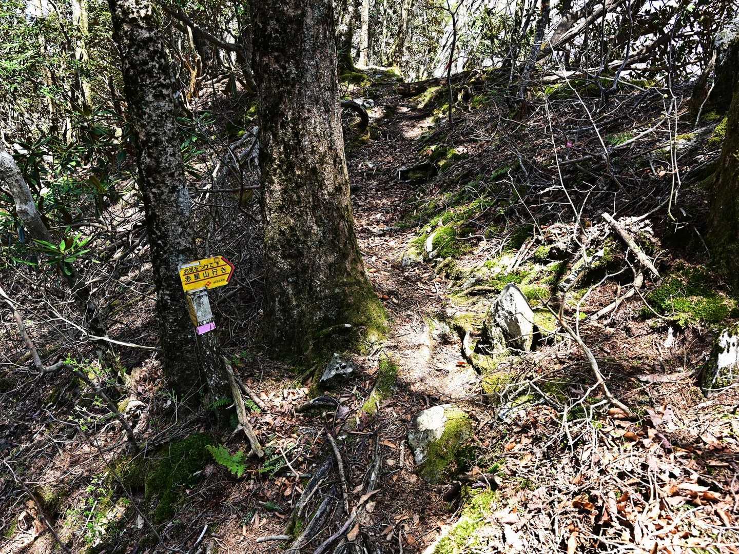 鉄塔保線路分岐