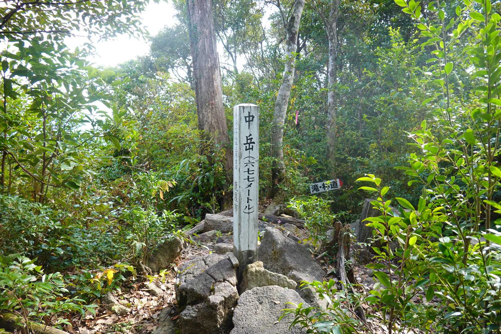 中岳山頂
こちらは樹林帯の中でした。