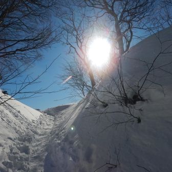 いつものアングルで。