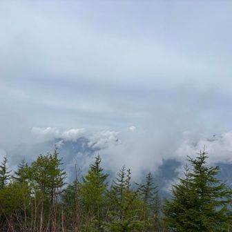 ガスってなかったら眺望良いはず！白峰三山な見える。