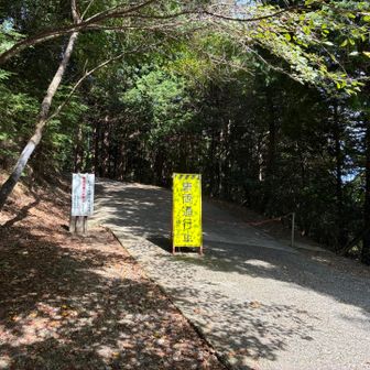 舗装された参道を上って行きます。
