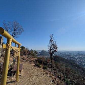 金の鳥居はキラキラ✨️