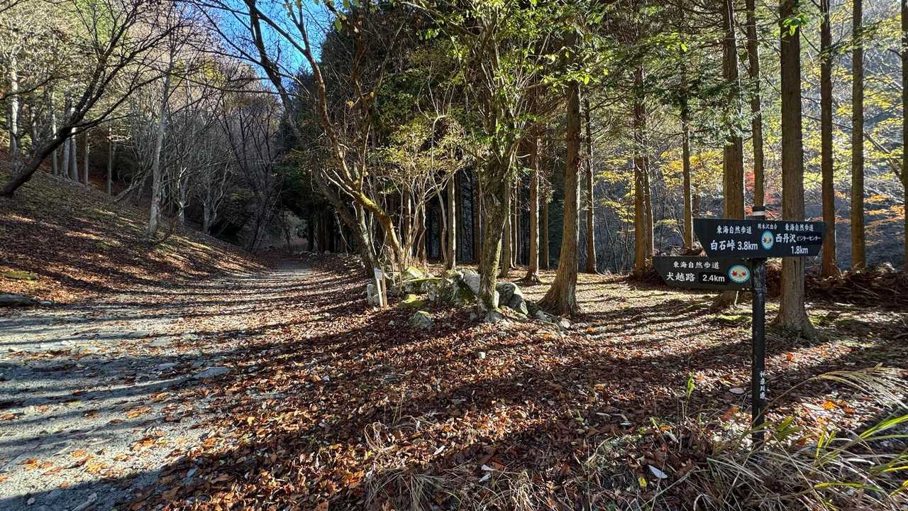 西丹沢縦走（西丹沢VC〜犬越路〜檜洞丸〜箒沢橋） の写真 4