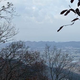 見えているのは大小アルプス。この後行くつもりなんでとりあえず下山します。