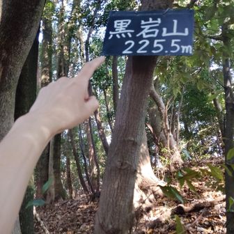 さくっと２つ目。
黒岩山、頂上到着。