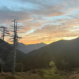 此処から日の出は見えません🌅