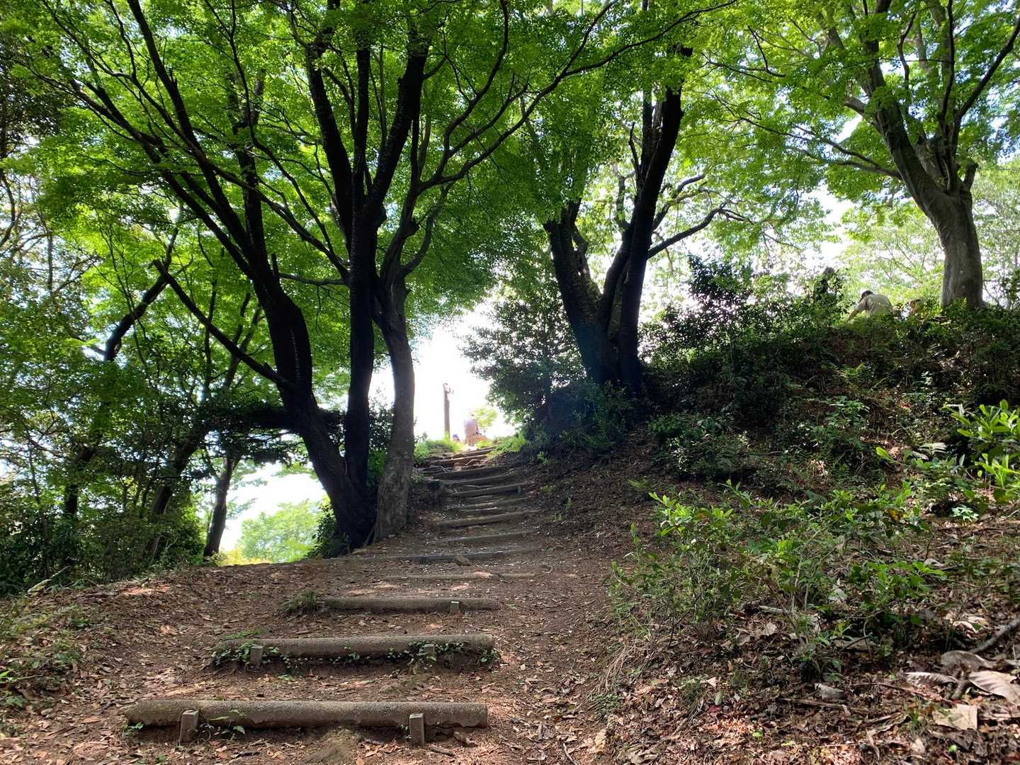 もうすぐ山頂