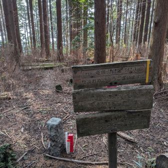 竜頭山、着きました！
ここも眺望はなし
この後、大竜頭へ