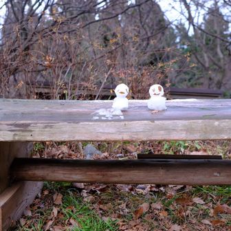 帰りは2人に増えてました