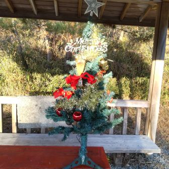 無事にゴール。東屋にはクリスマスツリーが。
12月ですもんね～