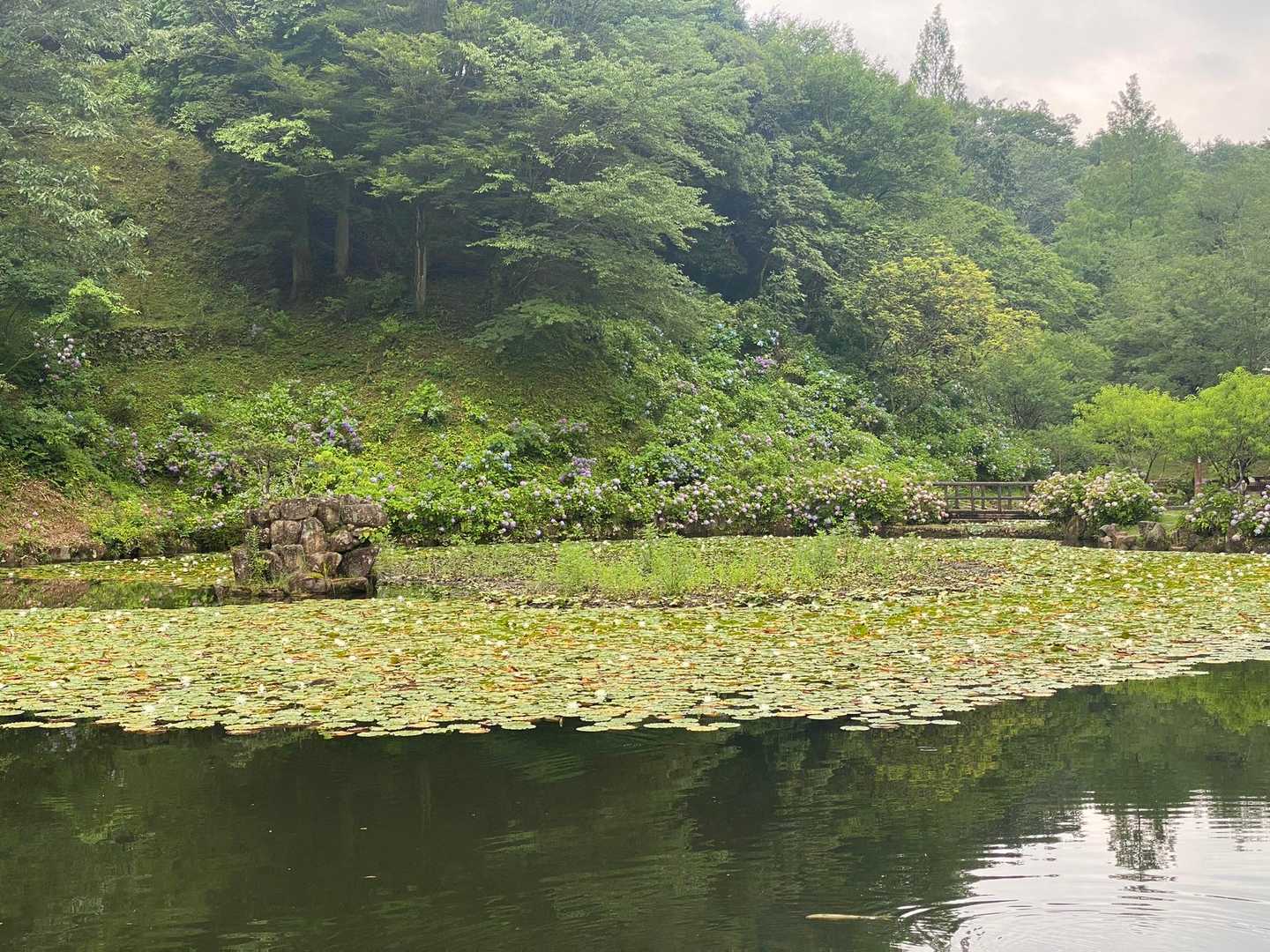 まで来ました♪