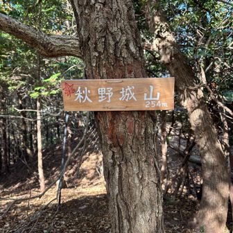 秋野城山登頂