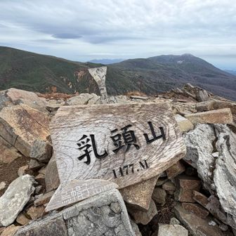 また来ますね。
