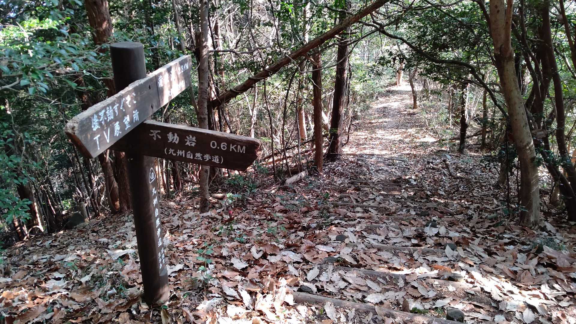 真っ直ぐ行けば日岡山だけど、今日は右➡ヘ下ります!