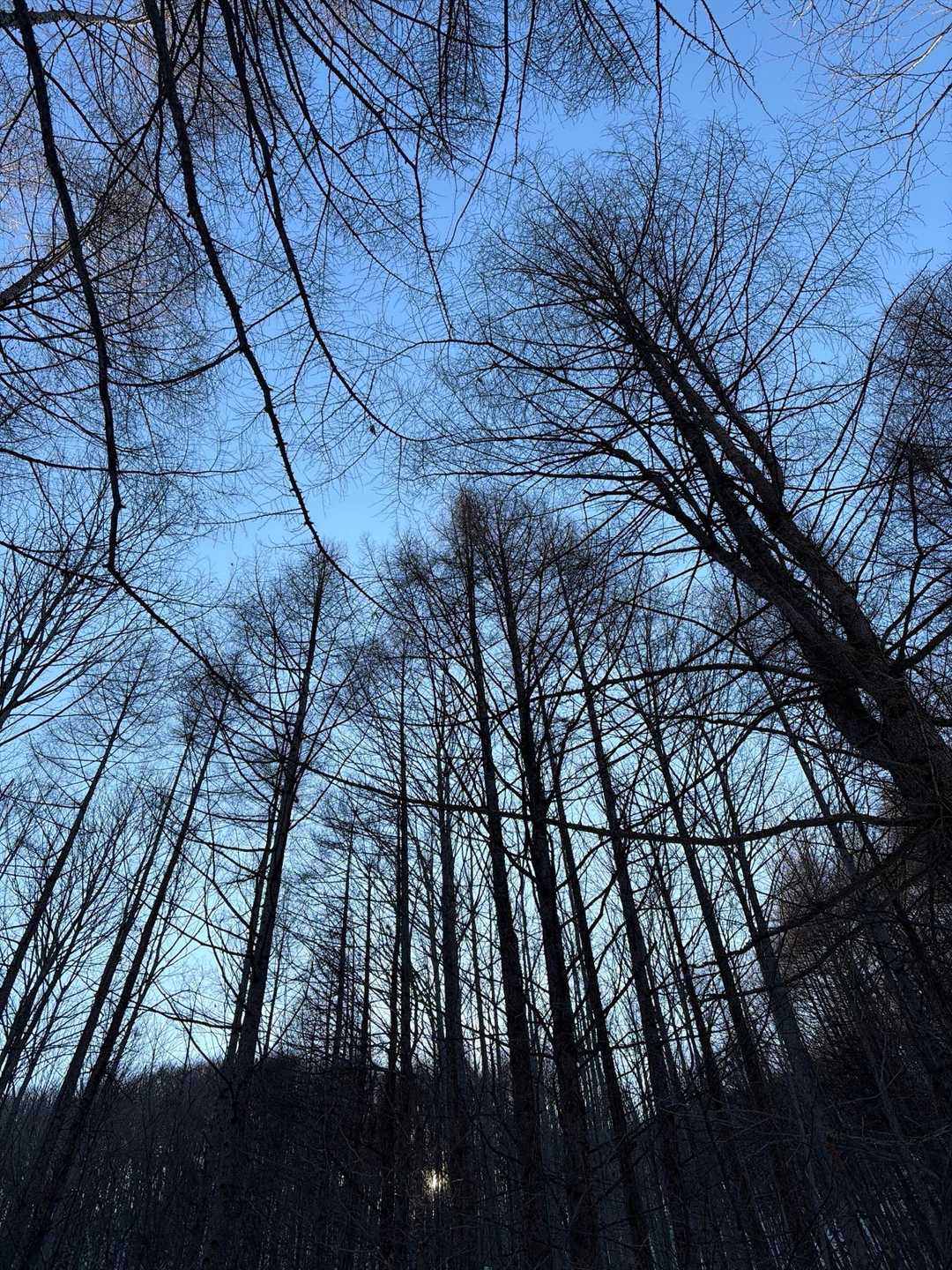 なまぬるい風がふんわり
ぽかぽか☀️