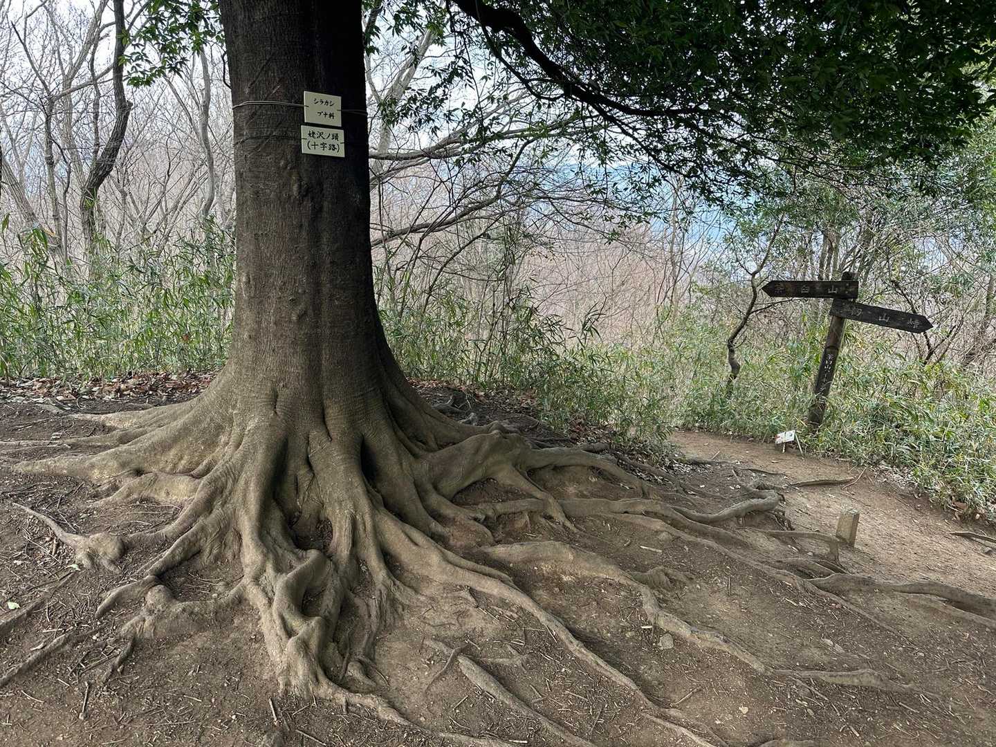 って少し寄り道してっと🤏