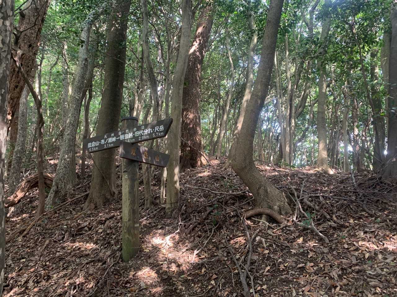 双伍山にお立ち寄り。