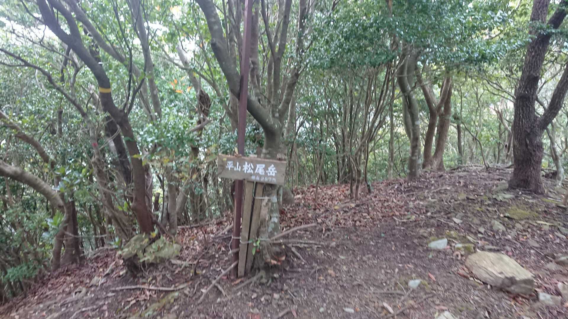 松尾岳到着！展望なしです！
