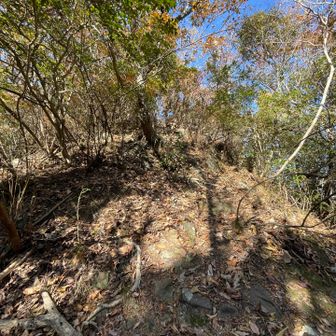 いきなり急登で足場も良くない。