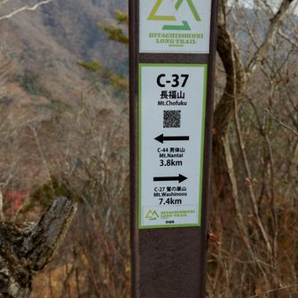 山頂。山名板やピンクリボンは無し。
ロングトレイル用の標識のみあり。