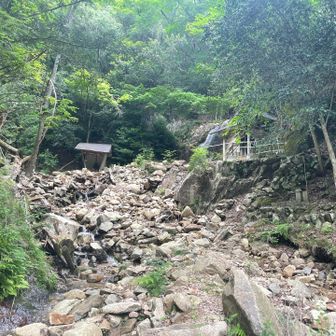 行場がありましたが荒れています