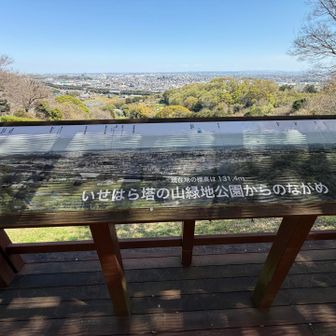 一旦下山し車道を進み、塔の山に登る。途中の展望台🤩