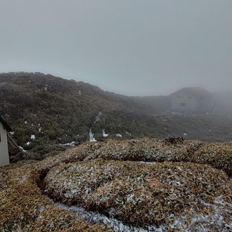 左のトイレは施錠され使用不可
右に三嶺ヒュッテ