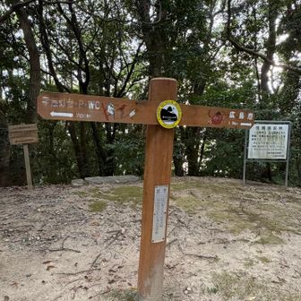 道路まで戻って進む