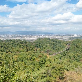 ほしだ園地の展望台から
中央に愛宕山、その右下に天王山等