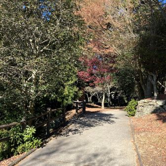 さて、ぼちぼち降ります。