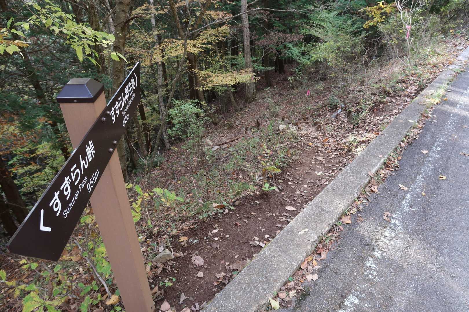 ここから再度登山道