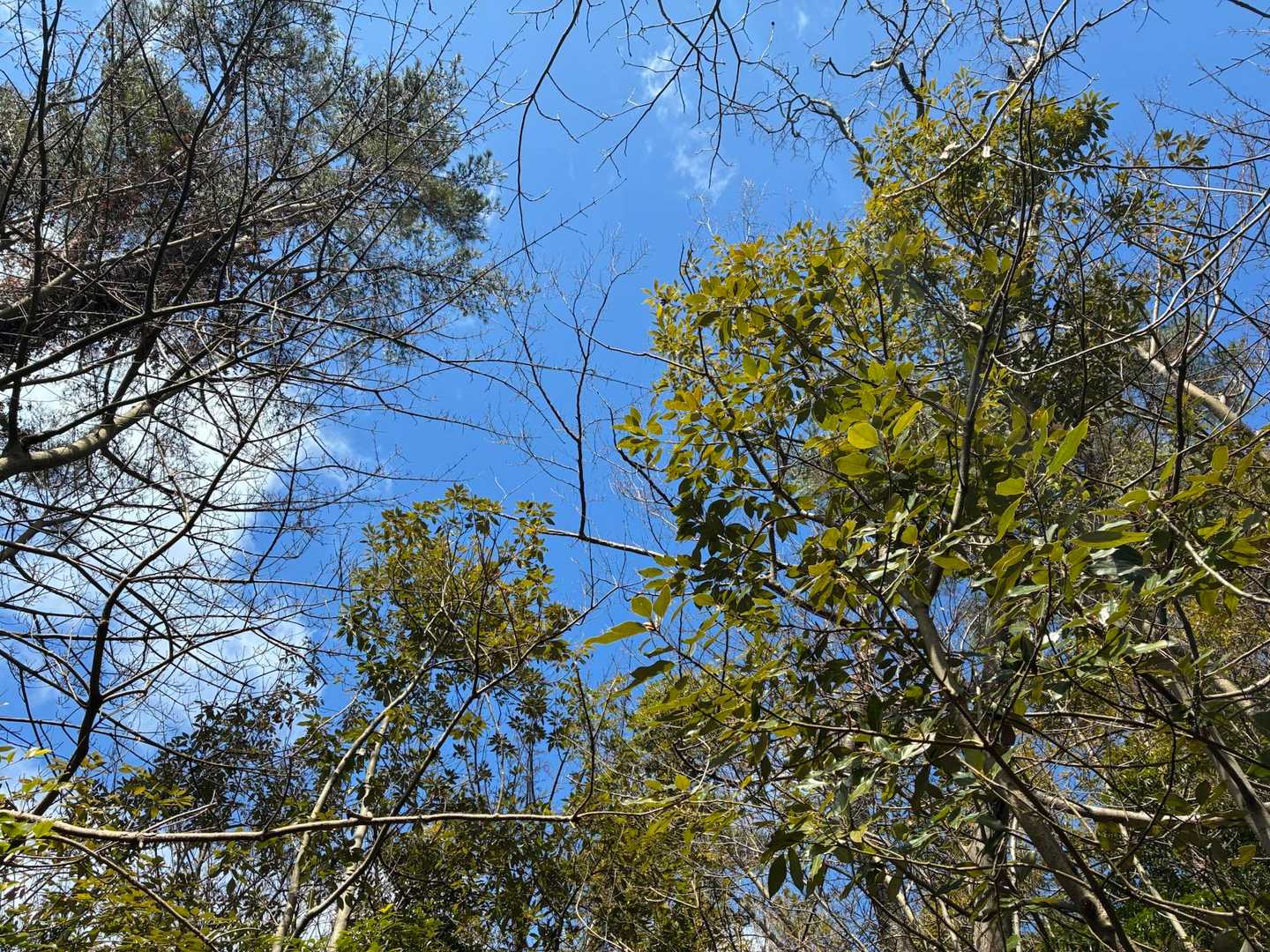 青空