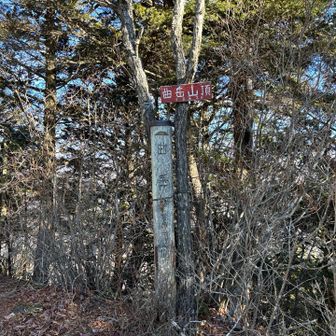 山梨百名山63座目の曲岳♪