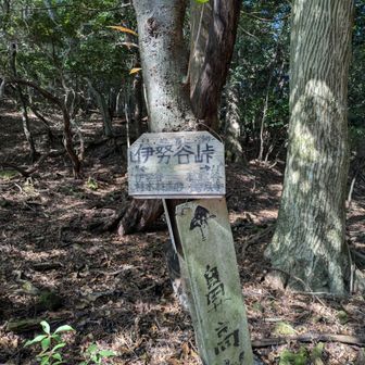この頃はまだ、北山縦走のホントの姿を知りません。割とのほほんとしております😅