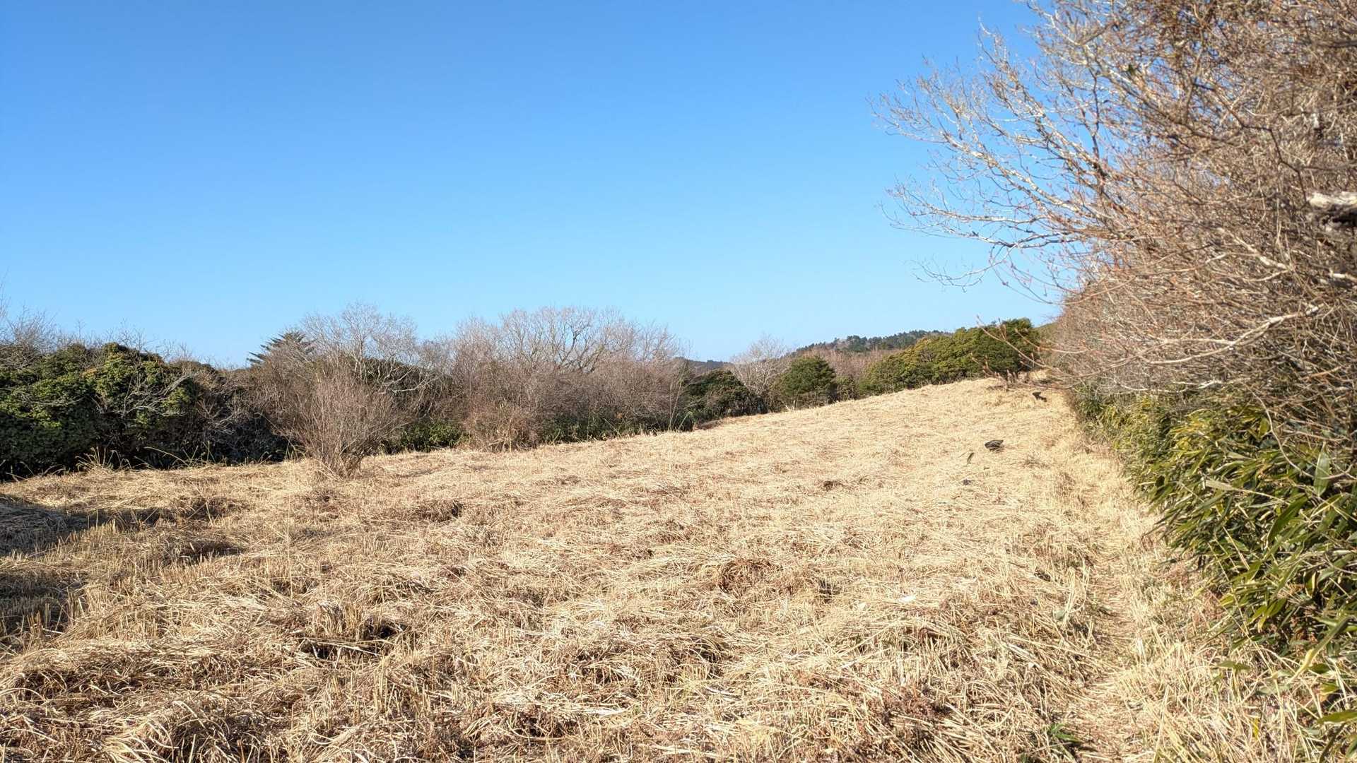 ここも草を刈ってくれて無かったら大変そうな所で、更に進み地図のトイレマークの所を見てみるとちょっと予習して来て知ってましたが