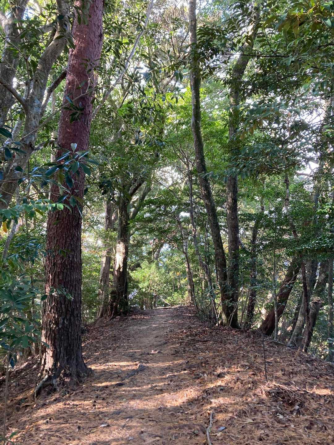 小谷登山口-双石山 往復コースの写真