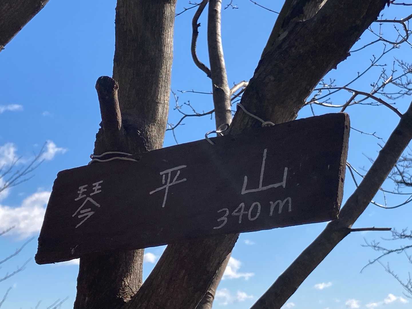 琴平山⛰ 登頂