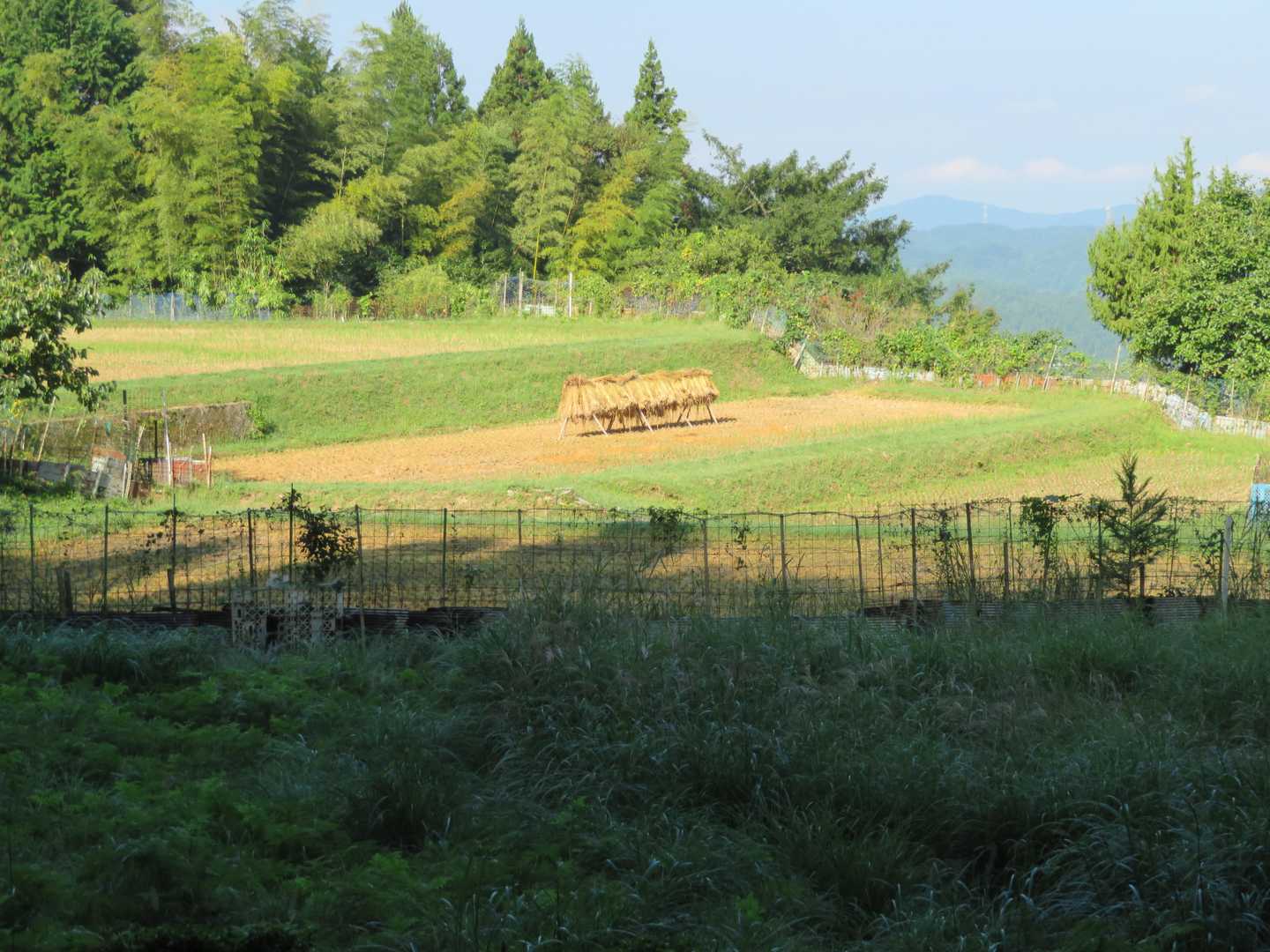 高城岳-三郎岳 周回コースの写真