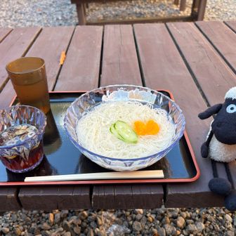 腹ペコなので今回もおそうめん❗️

大量にカメムシ飛んでて1匹家に連れて帰ってしもた😨
触らずに生きたまま屋外へ追放(扱いに慣れてきた💧)